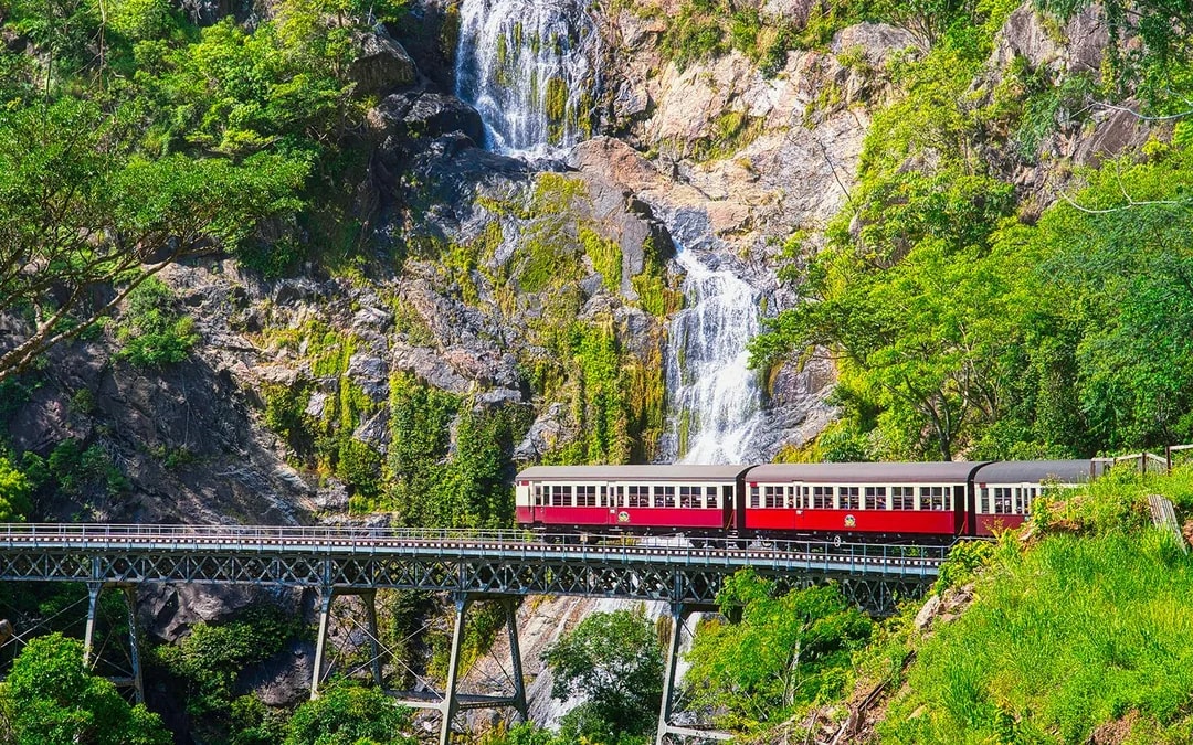 From Port Douglas: Scenic Train & Skyrail Kuranda Tour with Transfers Image 5