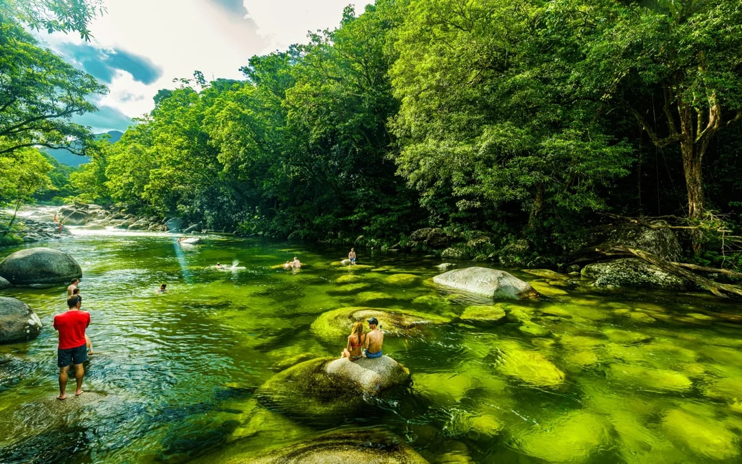 From Port Douglas: Small Group Half Day Tour of Daintree & Mossman Gorge with River Cruise & Picnic Lunch
 Image 2