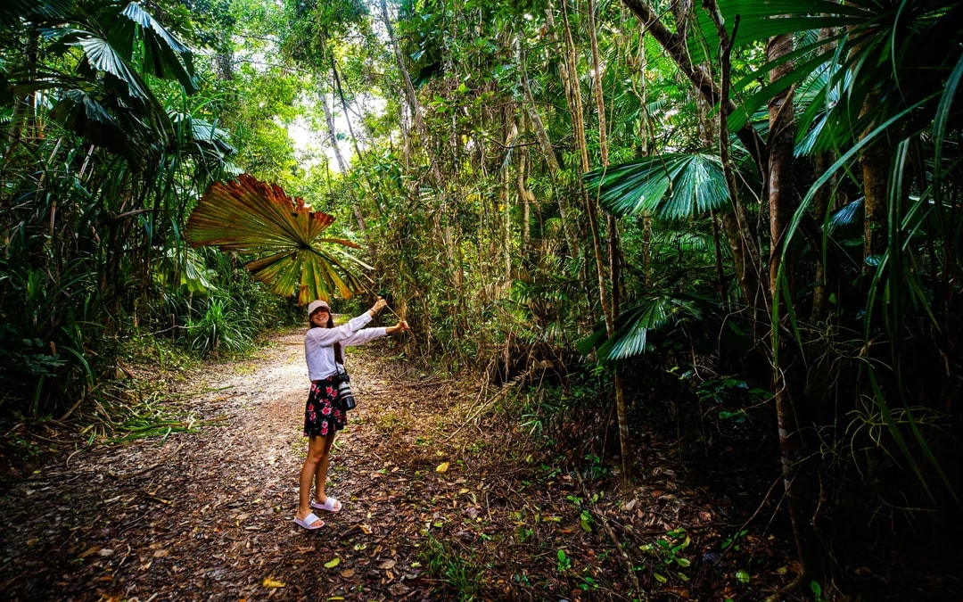 From Port Douglas: Small Group Half Day Tour of Daintree & Mossman Gorge with River Cruise & Picnic Lunch
 Image 10