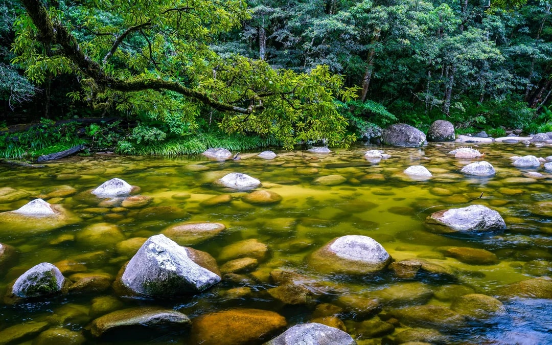 Wet tropics forest stream with rocks in Mossman Gorge, Australia.