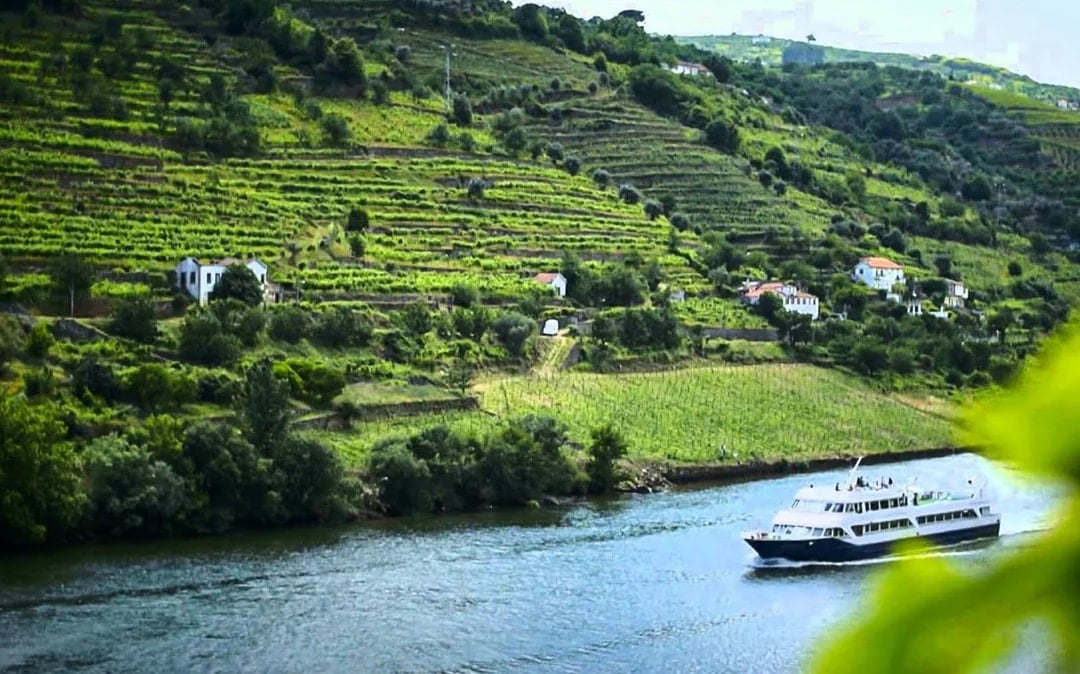 From Porto: Douro Valley Full-Day Trip with Régua Cruise and Lunch Image 1