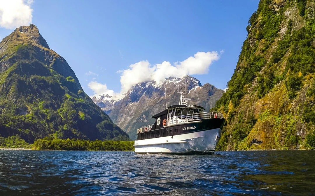 From Queenstown: Business Class Milford Sound Tour with Premium Cruise & Gourmet Lunch Image 1
