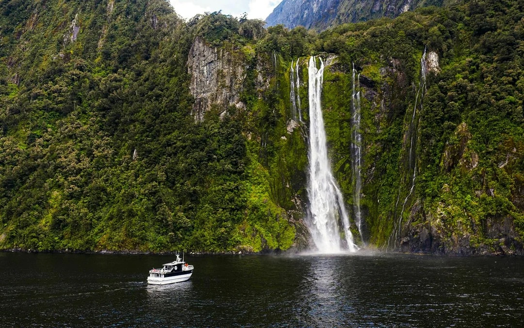 From Queenstown: Business Class Milford Sound Tour with Premium Cruise & Gourmet Lunch Image 11