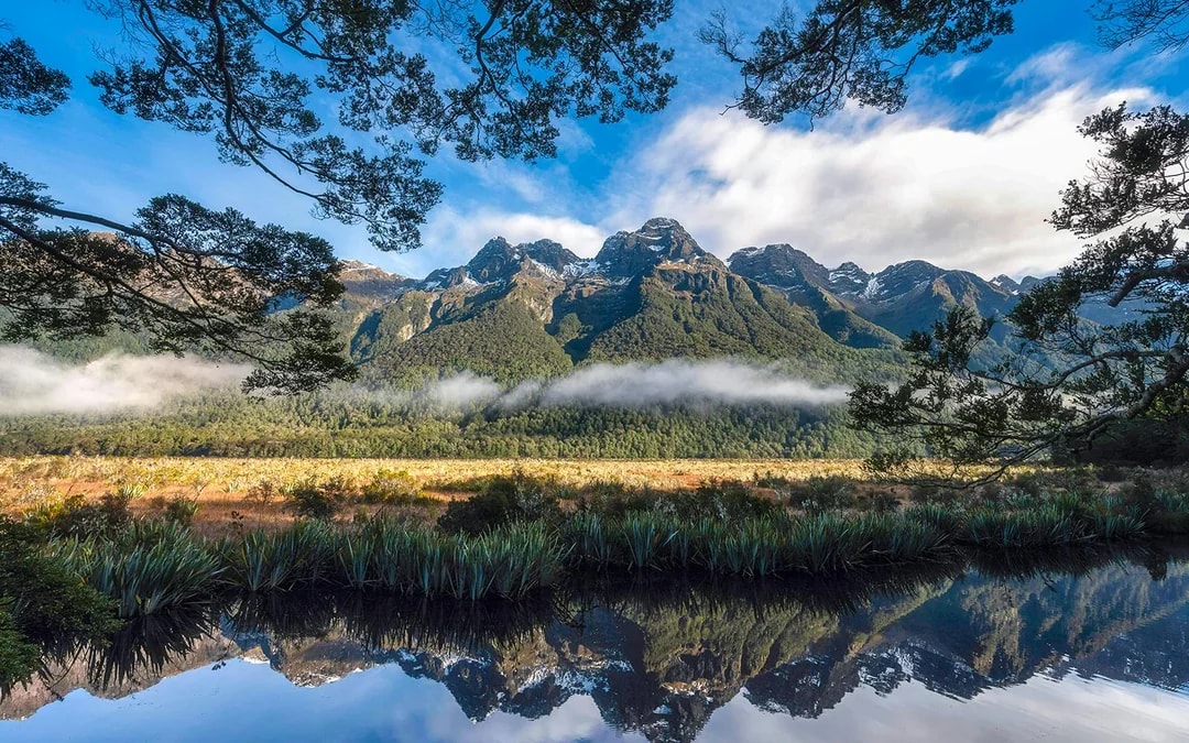 From Queenstown: Milford Sound Scenic Flyover & Cruise Image 6