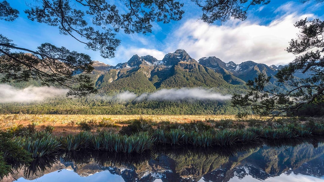 Milford Sound mountains and forest reflected in water under a blue sky, New Zealand.