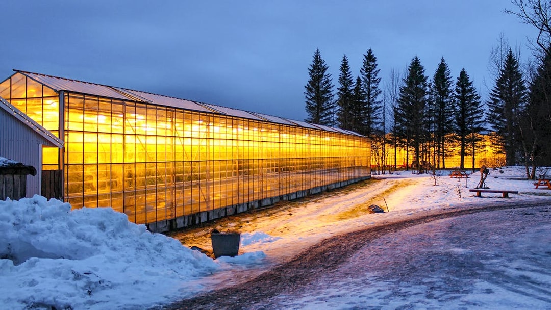 Greenhouse glowing at dusk in snowy landscape, part of Reykjavik's Golden Circle tour.