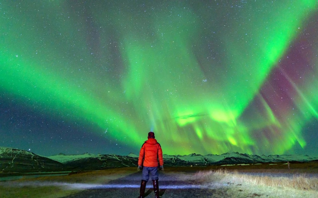 Reykjavik: Northern Lights & Golden Circle Full Day Trip Image 8