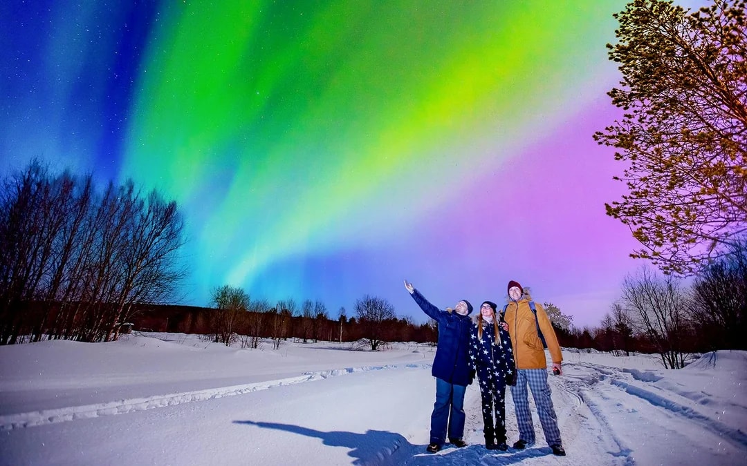 Reykjavik: Northern Lights Chase Tours  Image 2