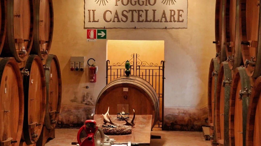 Winery barrels at Poggio Il Castellare, Tuscany, part of the Best of Tuscany in One Day tour from Rome.