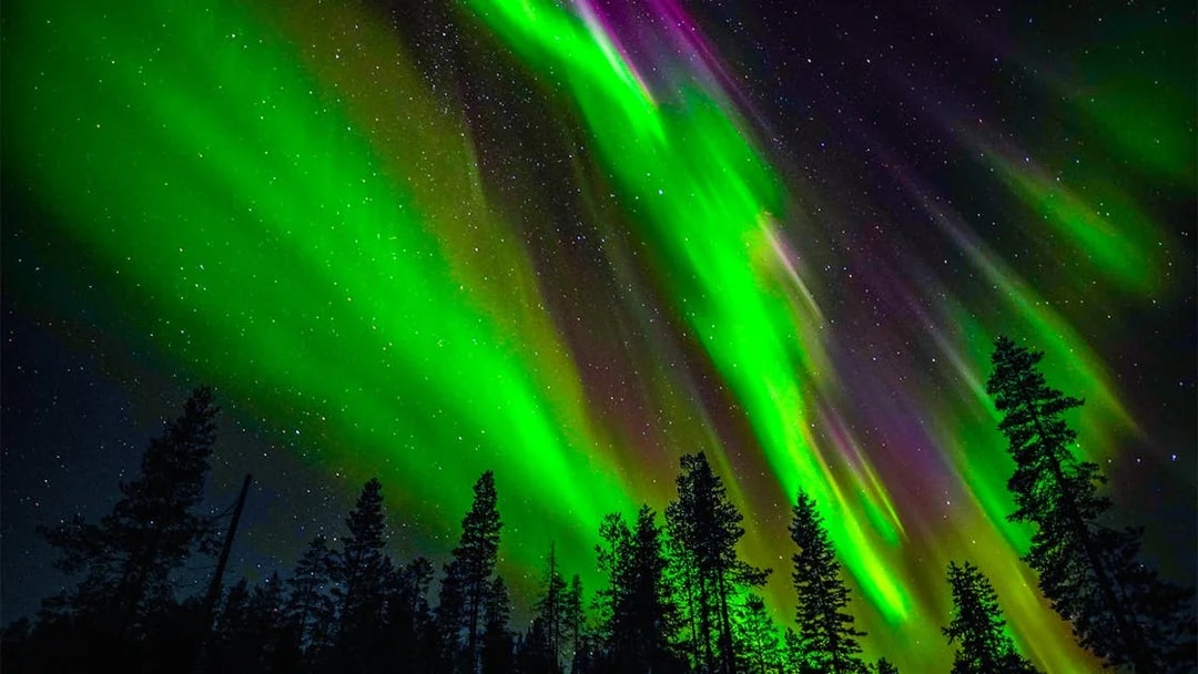 Northern Lights illuminating the night sky over Rovaniemi with silhouetted trees.