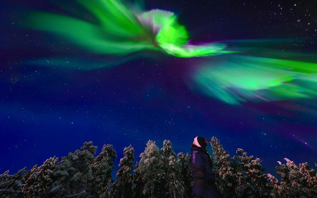 From Rovaniemi: Aurora Pro Photography Expedition Image 6