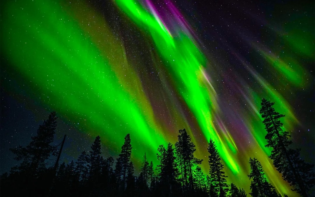 From Rovaniemi: Aurora Pro Photography Expedition Image 7
