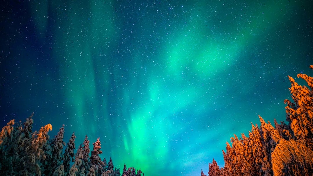 Northern Lights illuminating snowy trees in Rovaniemi, Finland.