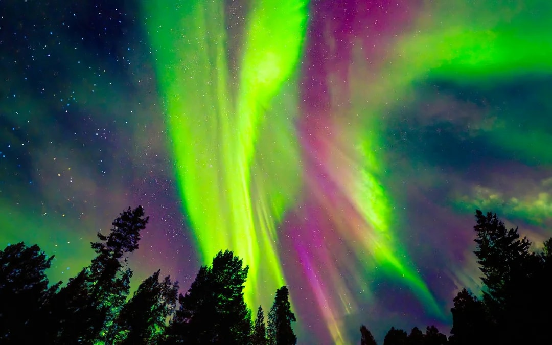 From Rovaniemi: Aurora Pro Photography Expedition Image 3