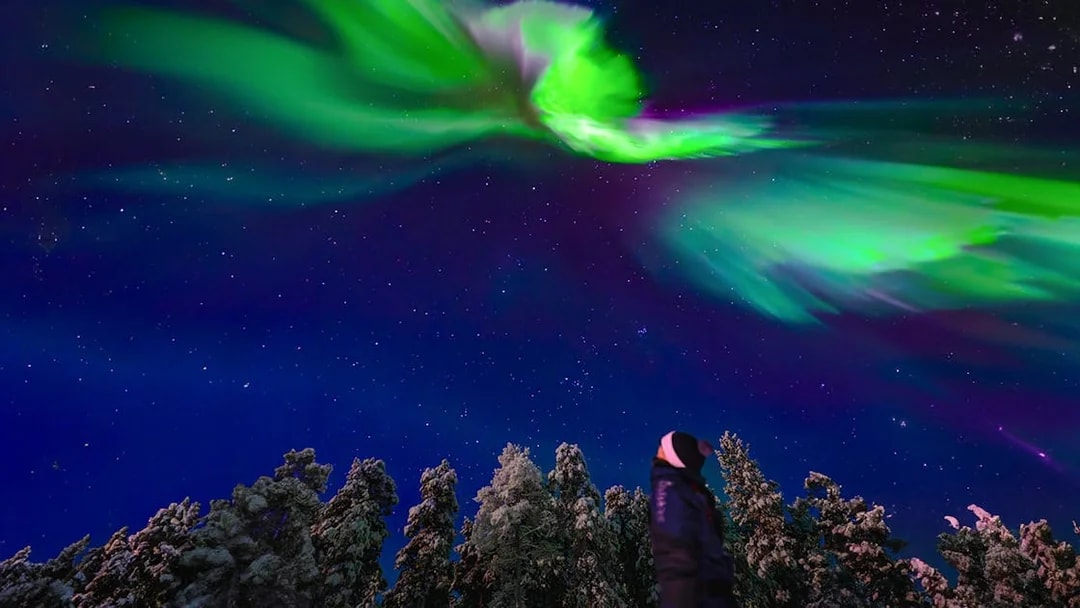 Person observing northern lights during AURORA PRO photography expedition.