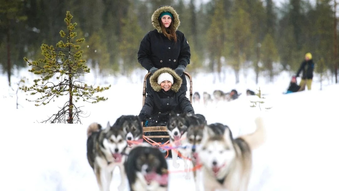 Husky sledding through snowy forest near Rovaniemi.