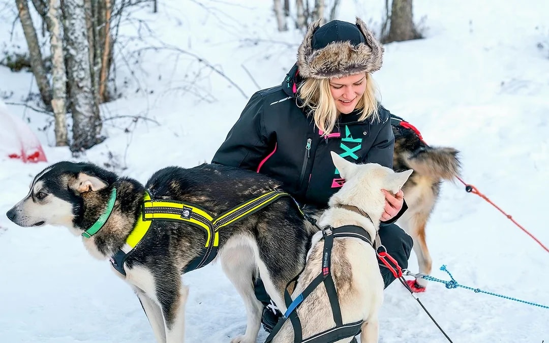 From Rovaniemi: Husky Sledding Experience Image 8