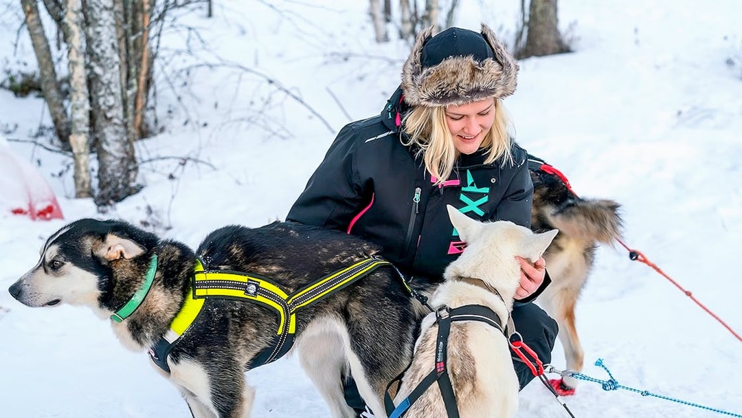 Husky sledding guide with dogs in snowy Rovaniemi forest.