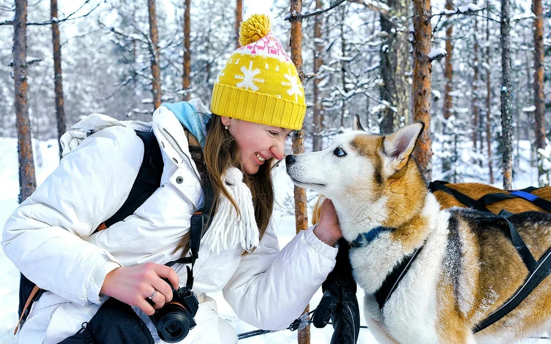 From Rovaniemi: Husky Sledding Experience Image 4