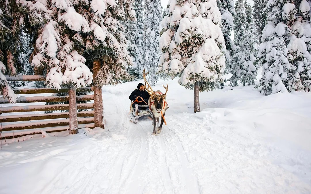 From Rovaniemi: Meet Santa Claus, Reindeer Sleigh Ride & Huskies Image 3