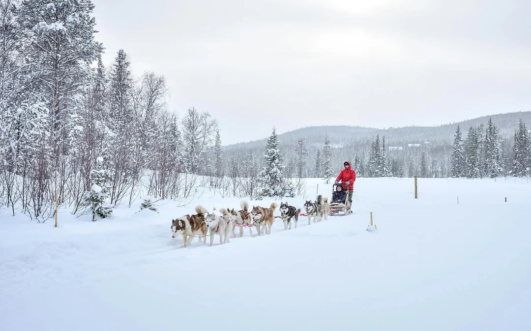 From Rovaniemi: Meet Santa Claus, Reindeer Sleigh Ride & Huskies Image 4