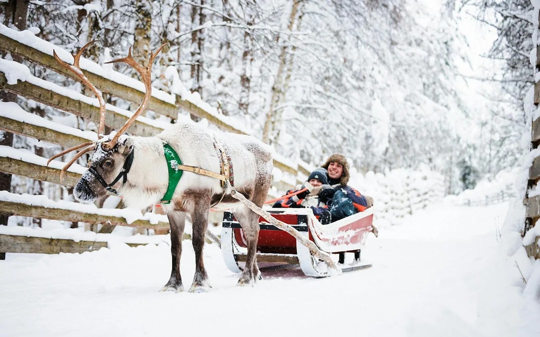 From Rovaniemi: The Highlights Tour: Santa Claus Village, Husky & Reindeer Sledding Image 4