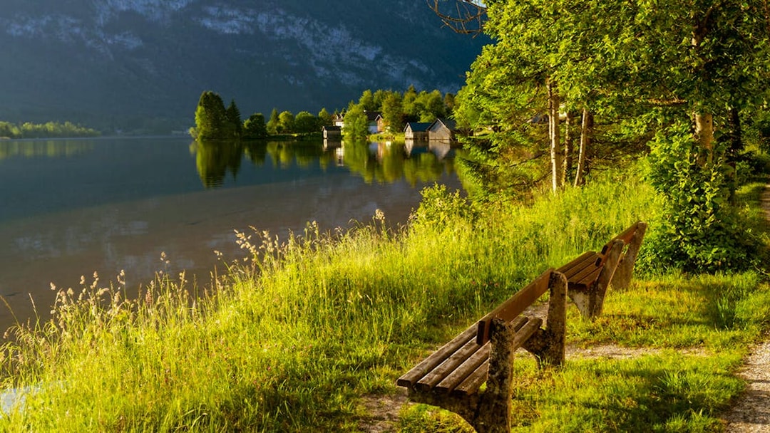 Lakeside view in Hallstatt with benches and trees, seen on a half-day trip from Salzburg.
