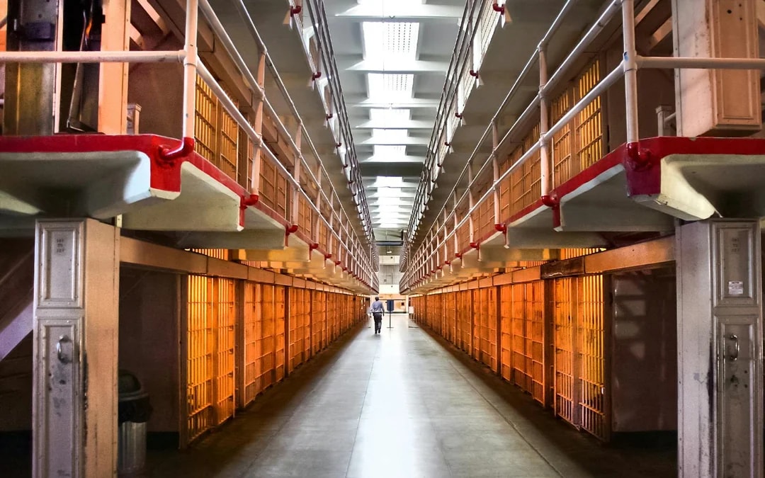 From San Francisco: Alcatraz, Muir Woods, & Sausalito Day Trip Image 8