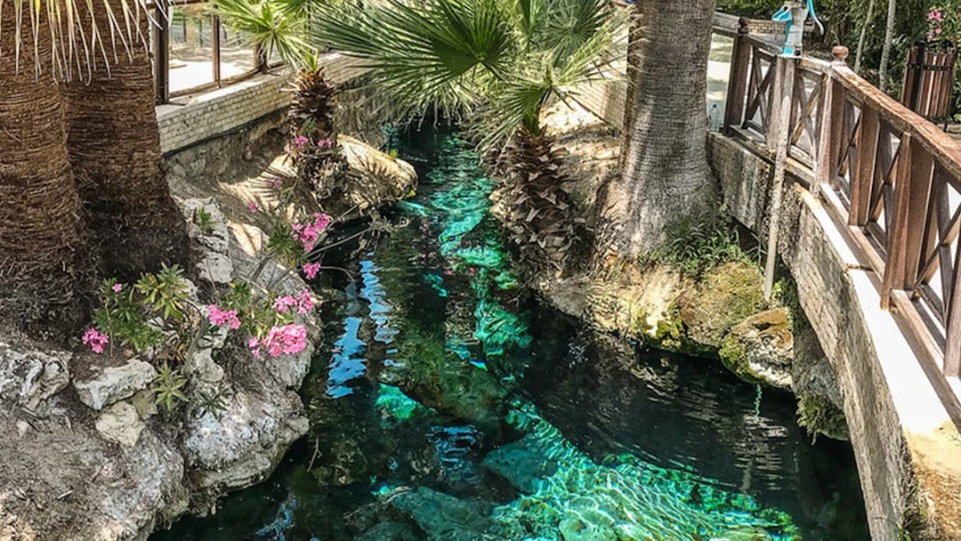 Clear water stream with palm trees and flowers in Pamukkale, Turkey.