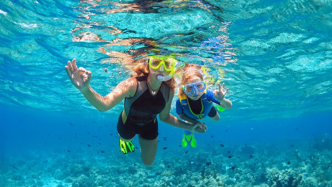 Tourists snorkelling over coral reefs at Sesimbra Beach, Portugal.