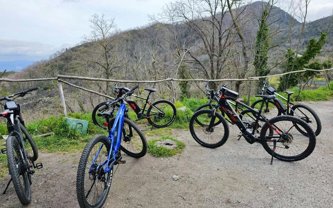 From Sorrento: Mount Vesuvius Guided E-Bike Tour Image 3