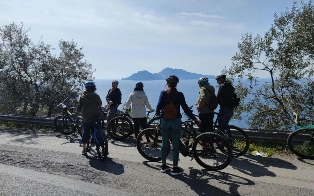 From Sorrento: Mount Vesuvius Guided E-Bike Tour Image 5
