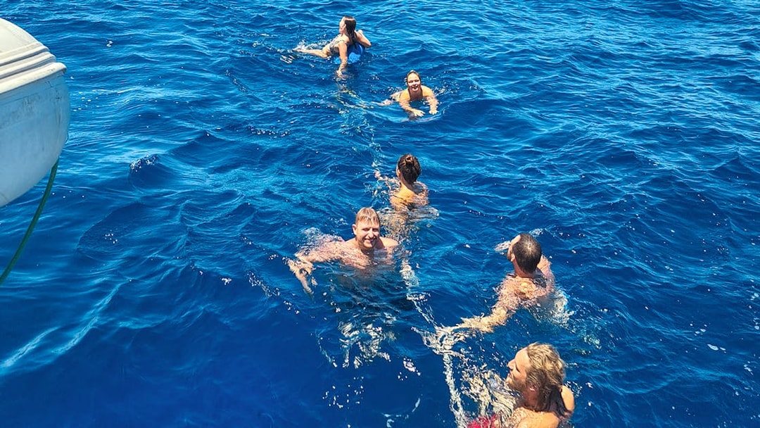Guests swimming during Stavanger Fjord sailing tour.
