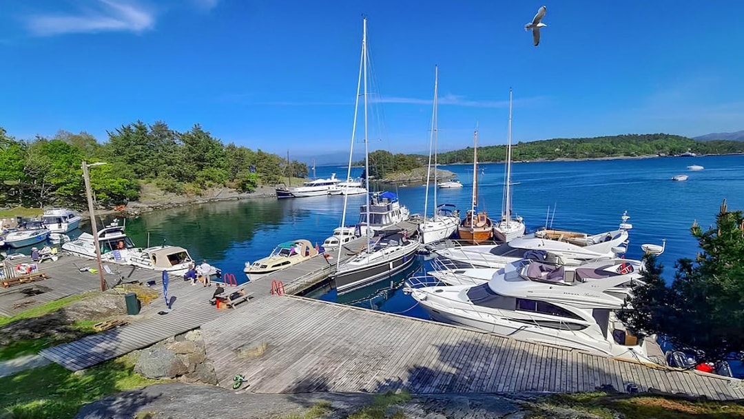 Boats docked at Stavanger Harbour boarding point with surrounding greenery.