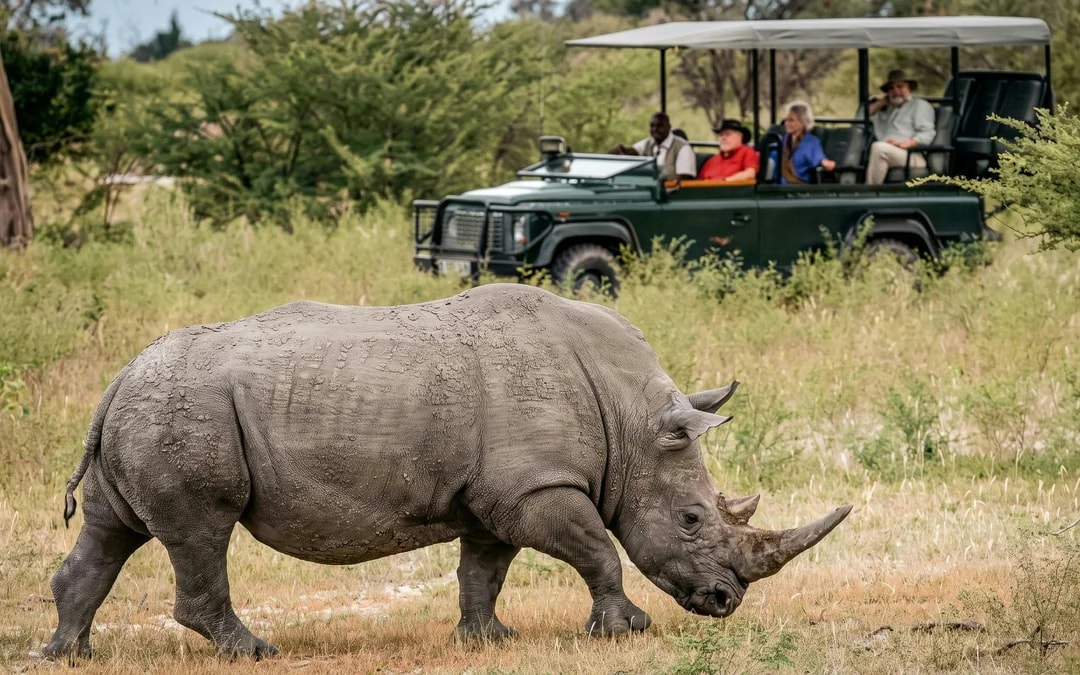 From Sun City: 3-Hour Private Game Drive in Pilanesberg National Park Image 7
