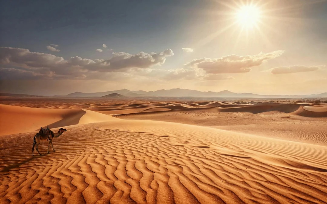 From Tangier to Marrakesh 4-Day Sahara Desert Tour with Camel Treks, Chefchaouen & Ait Benhaddou Image 2