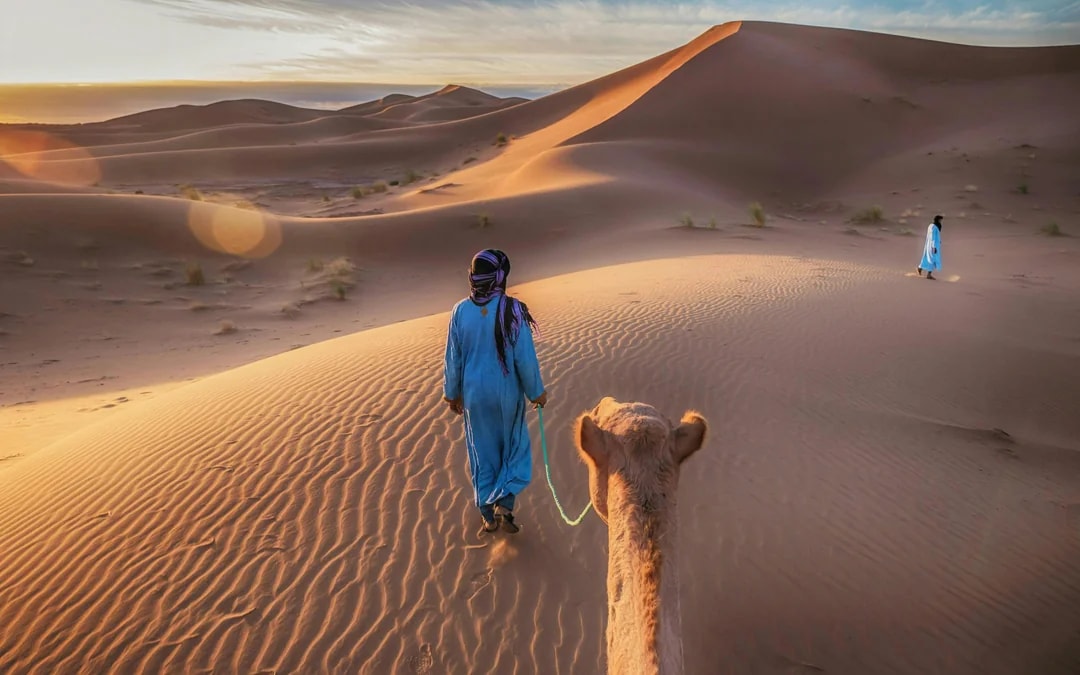 From Tangier to Marrakesh 4-Day Sahara Desert Tour with Camel Treks, Chefchaouen & Ait Benhaddou Image 11