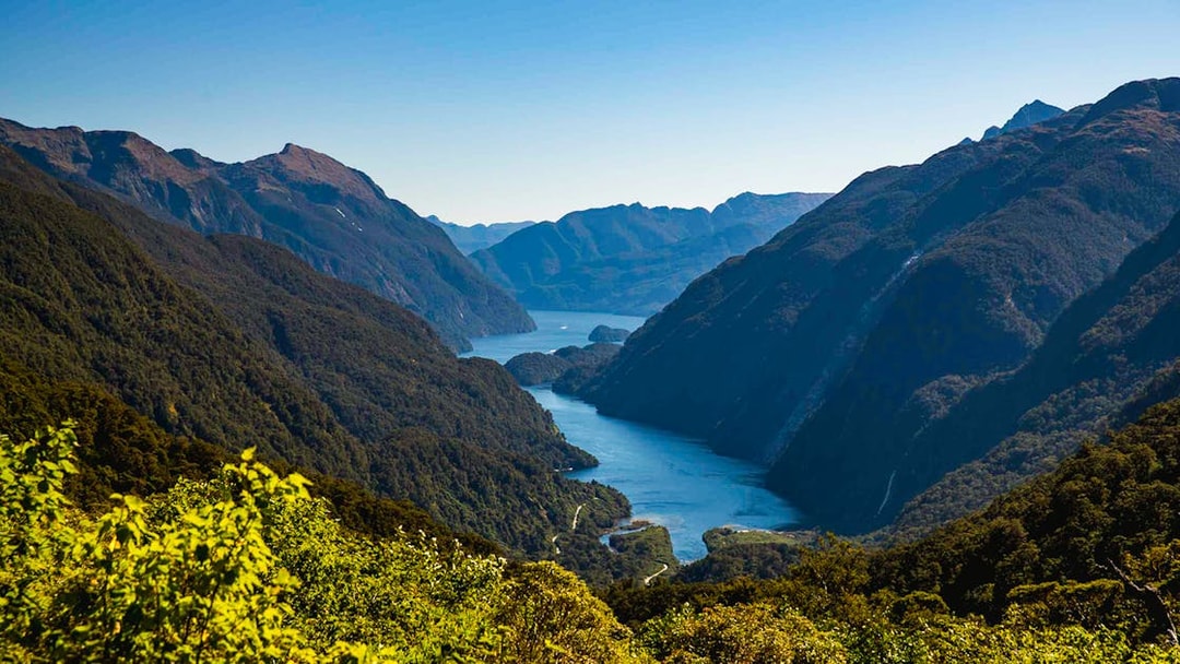 Doubtful Sound view from Wilmot Pass with lush green hills and winding waterway.