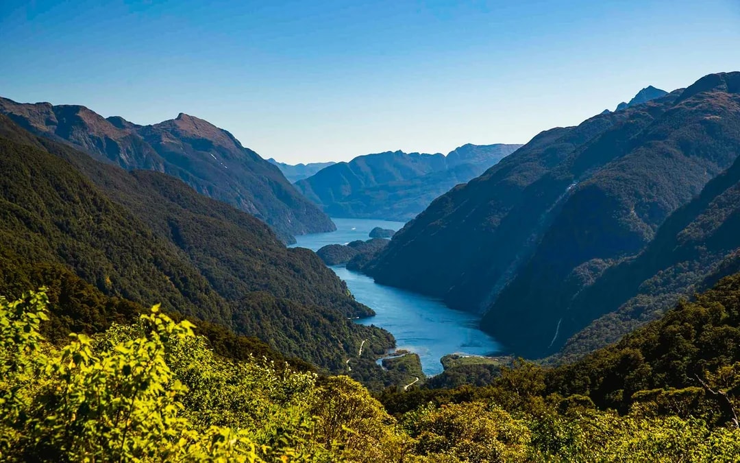 From Te Anau: Doubtful Sound Wilderness Cruise Image 3