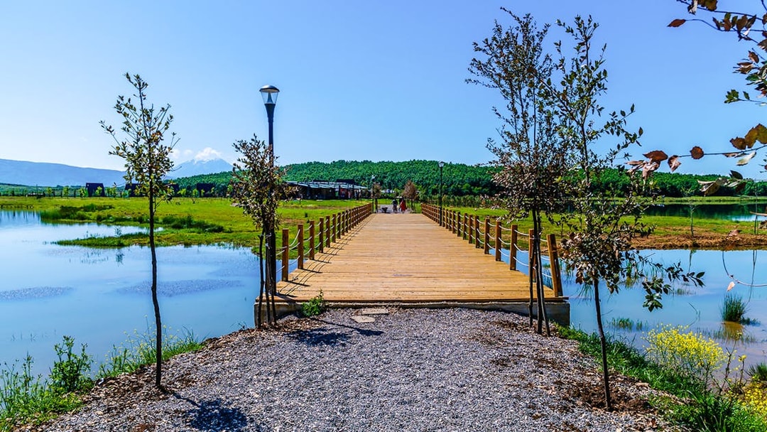 Wooden bridge over Belsh lakes with surrounding greenery and clear sky.