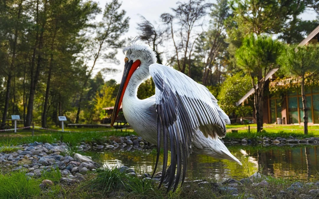 From Tirana/Durres: Karavasta Lagoon 4x4 Off-Road Day Trip Image 6