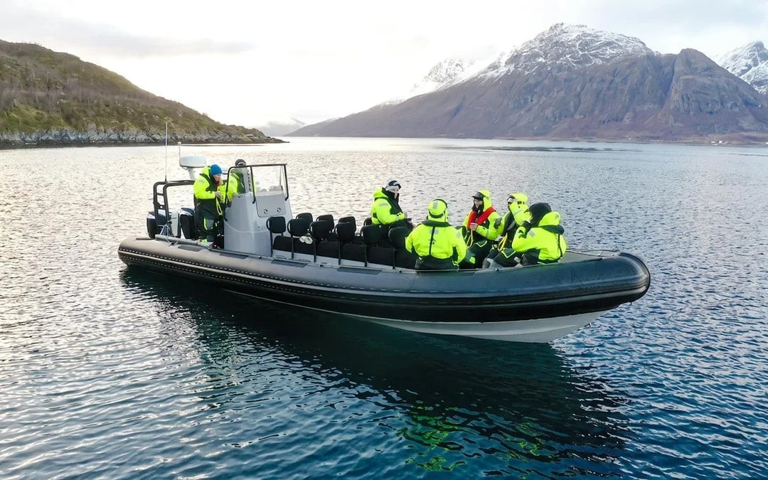 From Tromsø: RIB Speedboat Whale Watching Cruise Image 1