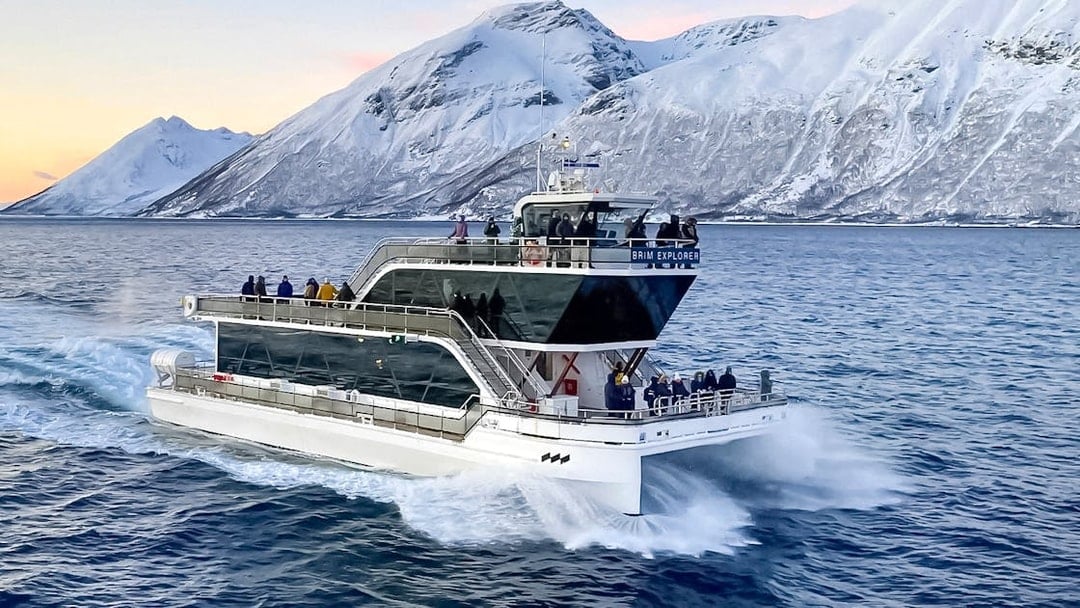 From Tromso: Arctic Fjord Cruise & Wildlife Tour