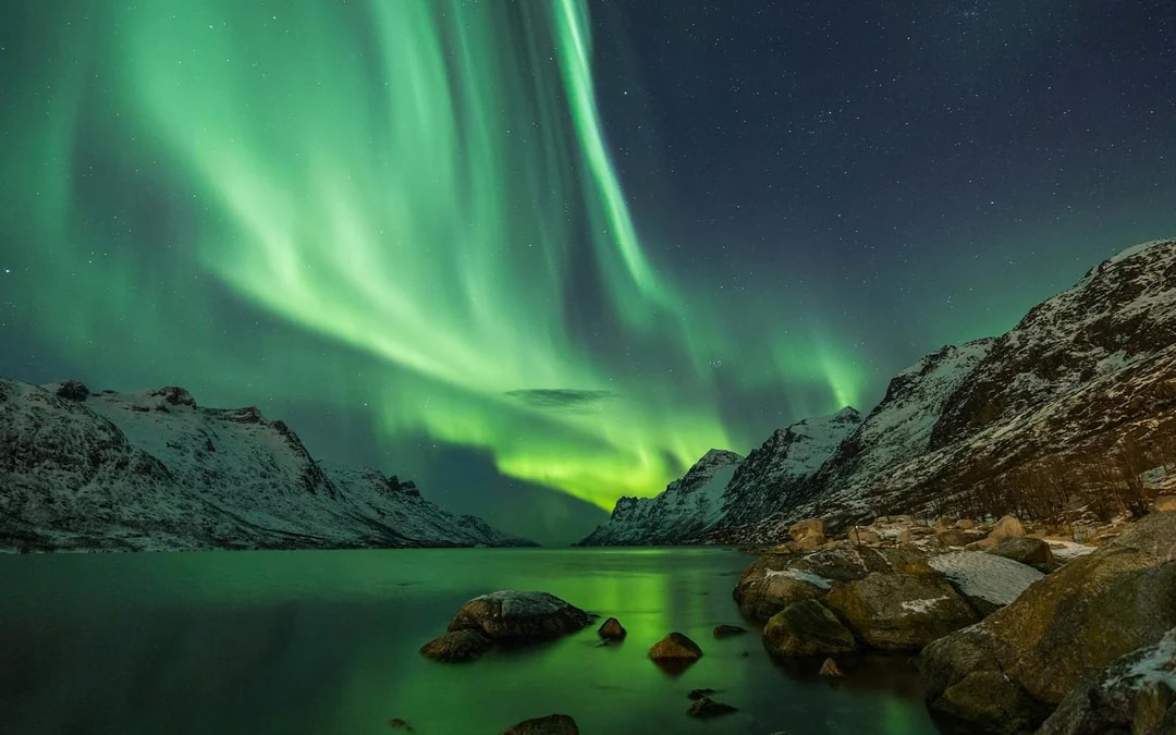 Tromso: Northern Lights Chase Tour Image 6