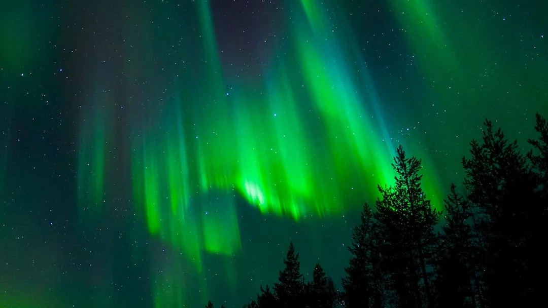 Northern Lights over forest in Tromso, Norway.