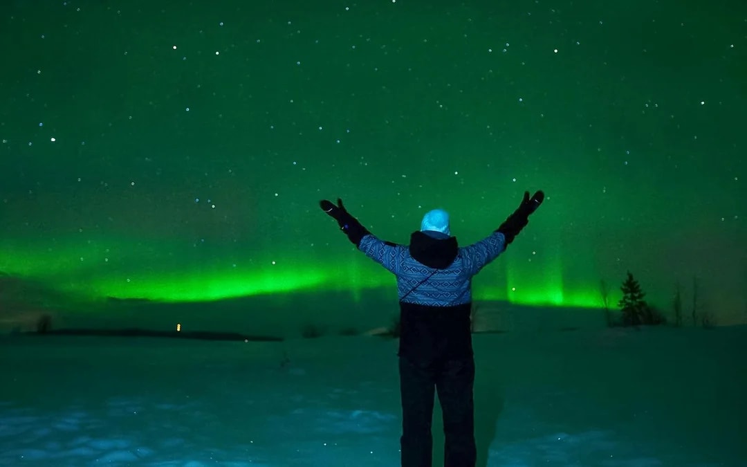 Tromso: Northern Lights Chase Tour Image 8