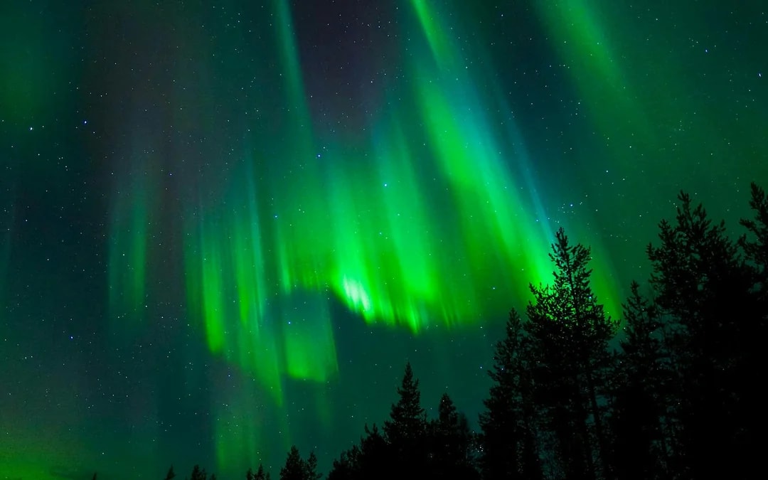 Tromso: Northern Lights Chase Tour Image 9