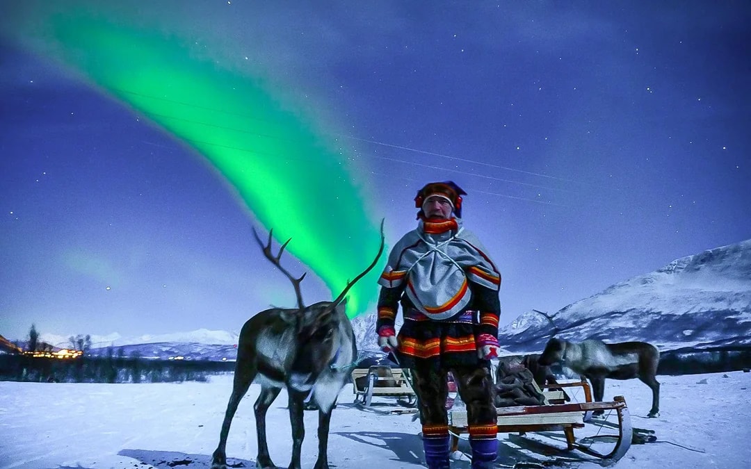 From Tromso: Reindeer Feeding Guided Tour with Chance of Northern Lights Image 6
