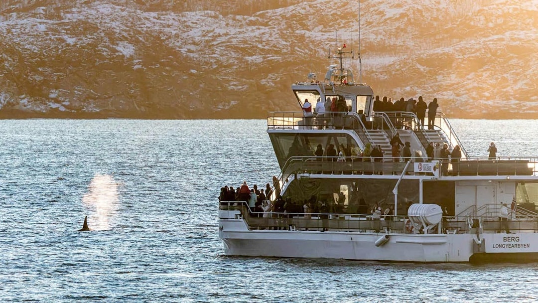 Hybrid-electric cruise with passengers watching a whale in Arctic waters.