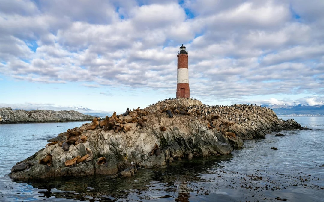 From Ushuaia: Beagle Channel Cruise Image 3
